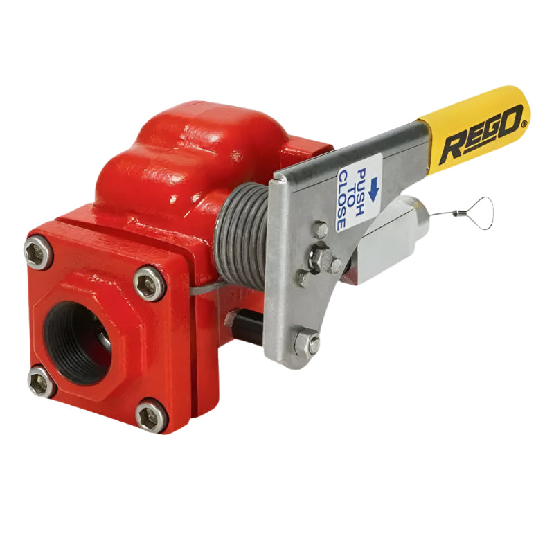 A6016 Swing Check Esv for Bulk Plant Steel (2" F.NPT × 2" F.NPT) RegO USA