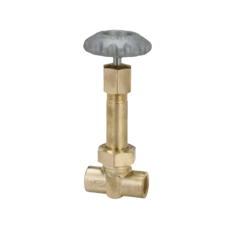 BK9452 Extended Stem Valve Cryogenic 1/4" F.NPT RegO USA
