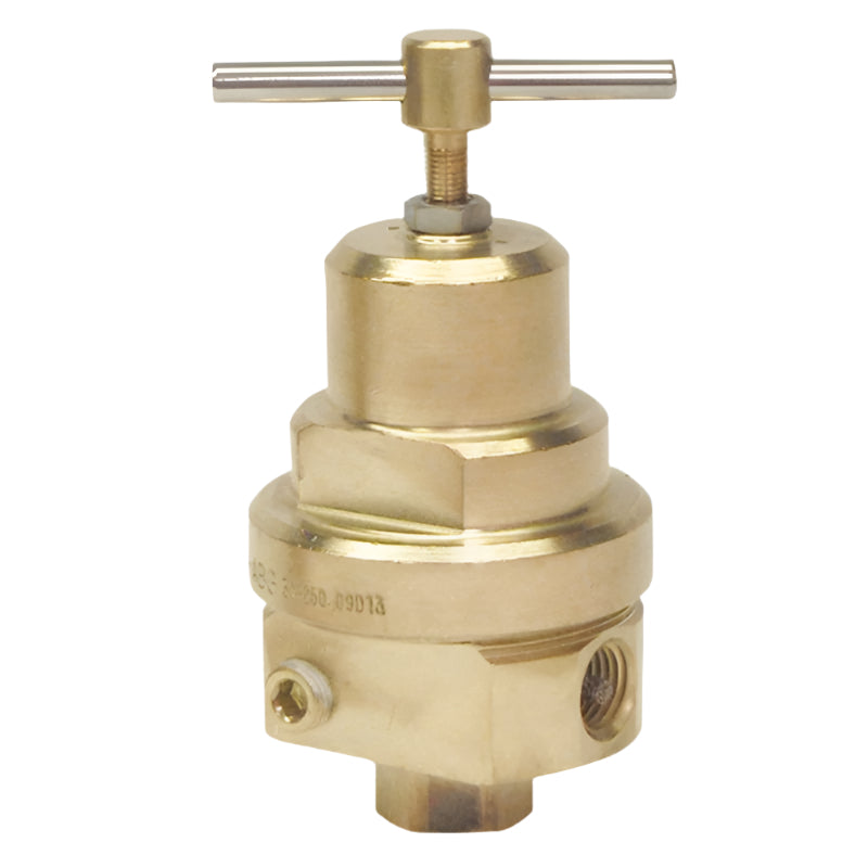 Pressure Regulator Cryogenic (25-250 PSIG) 1/4" F.NPT RegO RG000090AG