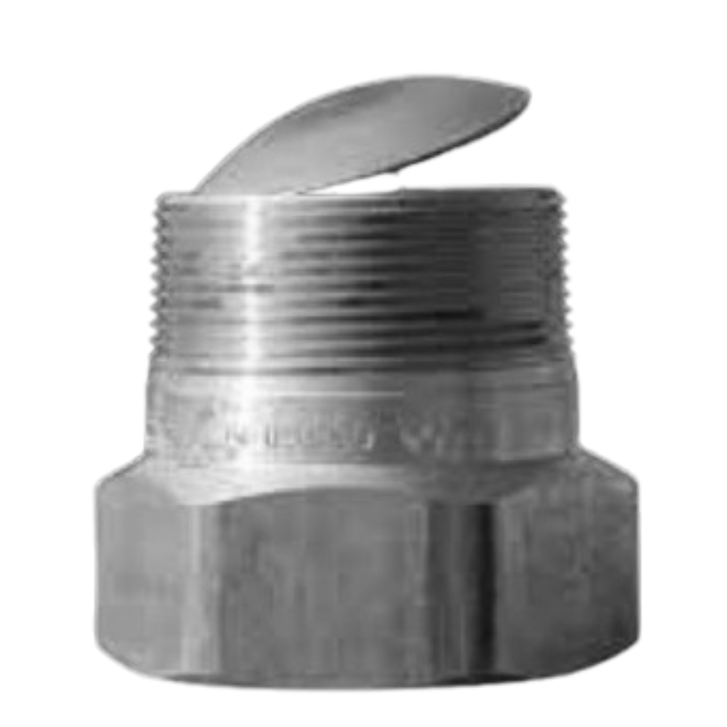 Swing-Away Back Pressure Check Valve 2" A6586D RegO
