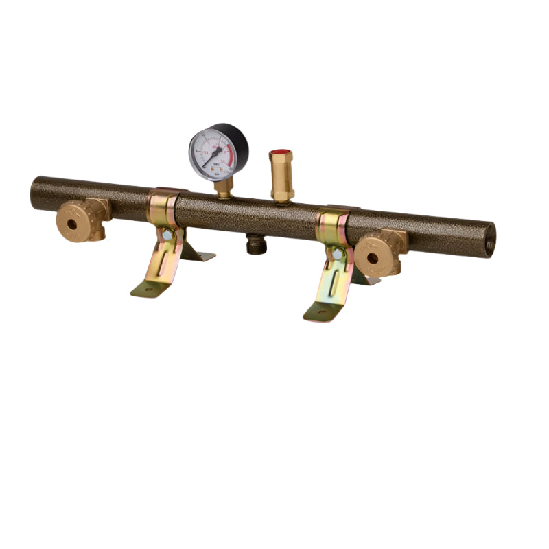 2-Way Gas Manifold Italy