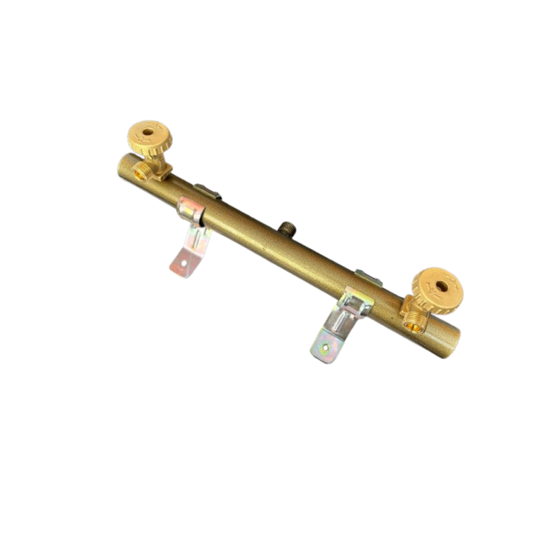 Manifold 2-Way (W/O PG, SV) GB Italy