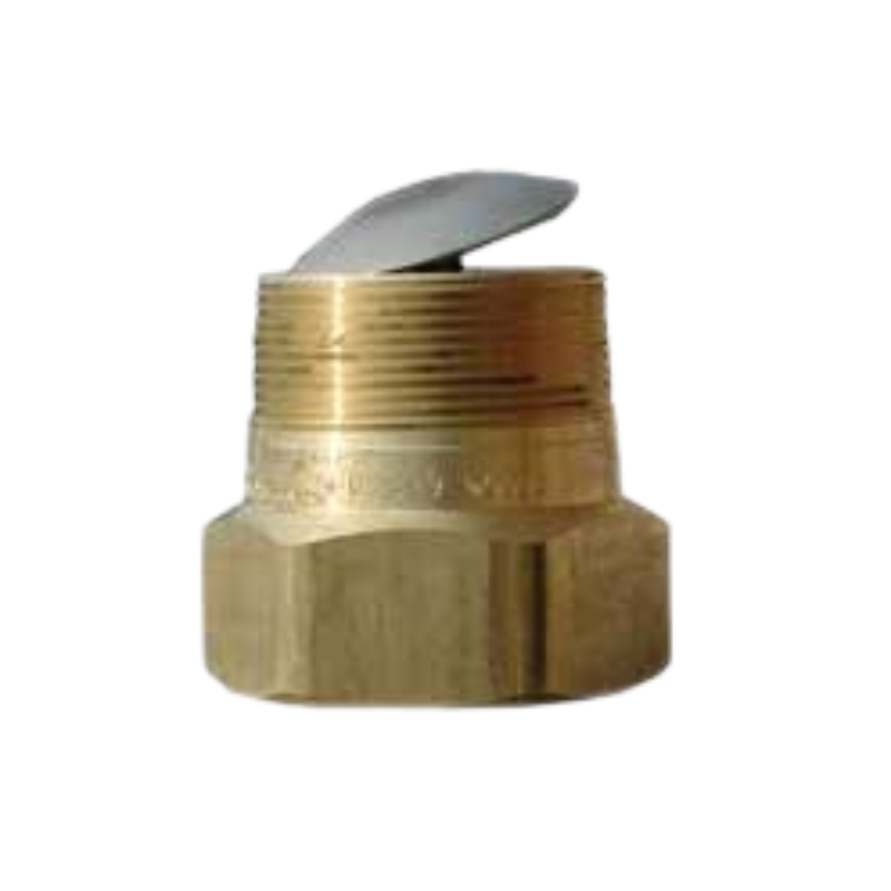 Back Check Valve (2" F.NPT × 2" M.NPT) Brass RegO 6586D