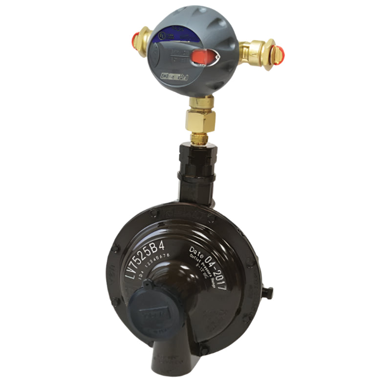 7525B4 Twin Stage Auto Changeover Regulator 10 kg/hr RegO USA