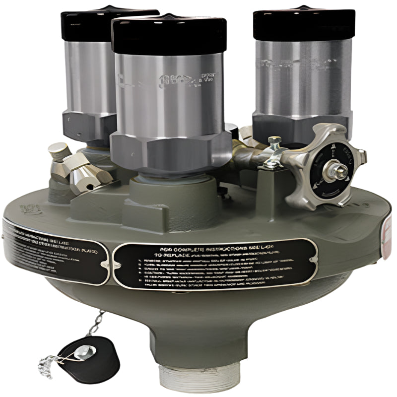 Delta Port Safety Relief Valve Manifold 250 PSIG 2" M-Nptf RegO 8533AG