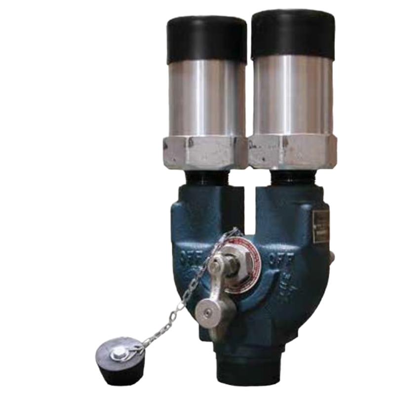 Duoport 2'' M.NPT Two Valves Mounted 250 PSI 8542G