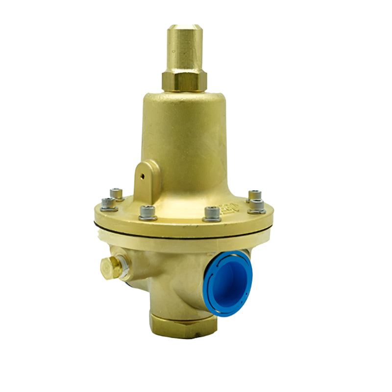 Regulator Cryogenic Heavy Duty (40-110 PSIG CV-3.1) 1/2" F.NPT RegO BR-1784B
