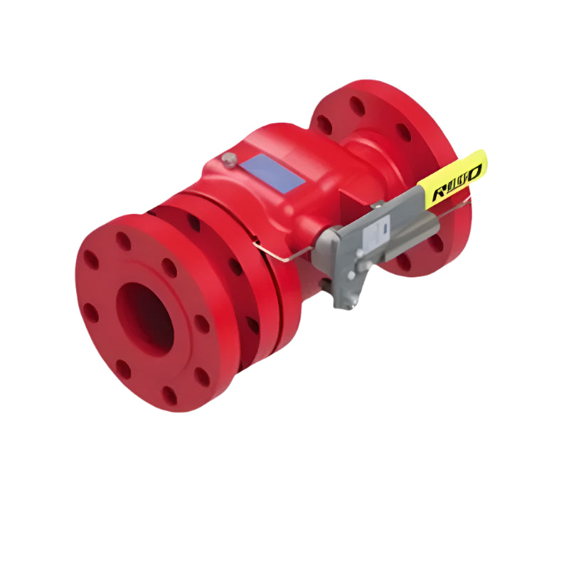 FA6016 Swing Check Esv for Bulk Plant Steel Flanged (2" CL300 × 2" CL300) RegO USA