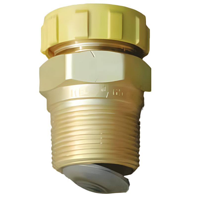 Double Back Check Filler Valve with Cap & Chain (1-3/4" ACME × 1-1/4" NPT) RegO L6579C