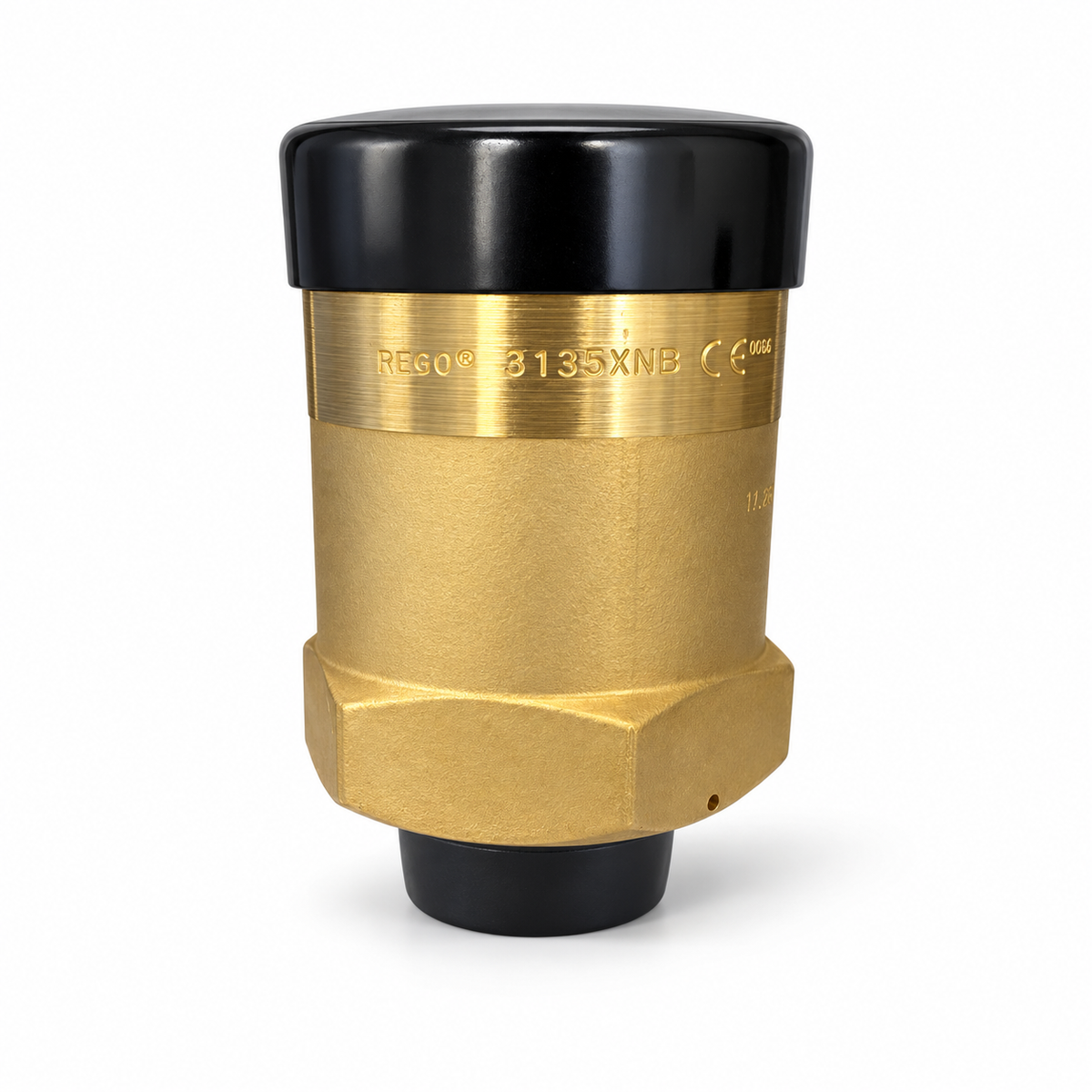 Safety Relief Valve External Pop Action 250 PSI 1-1/4" M.NPT Brass RegO 3135G