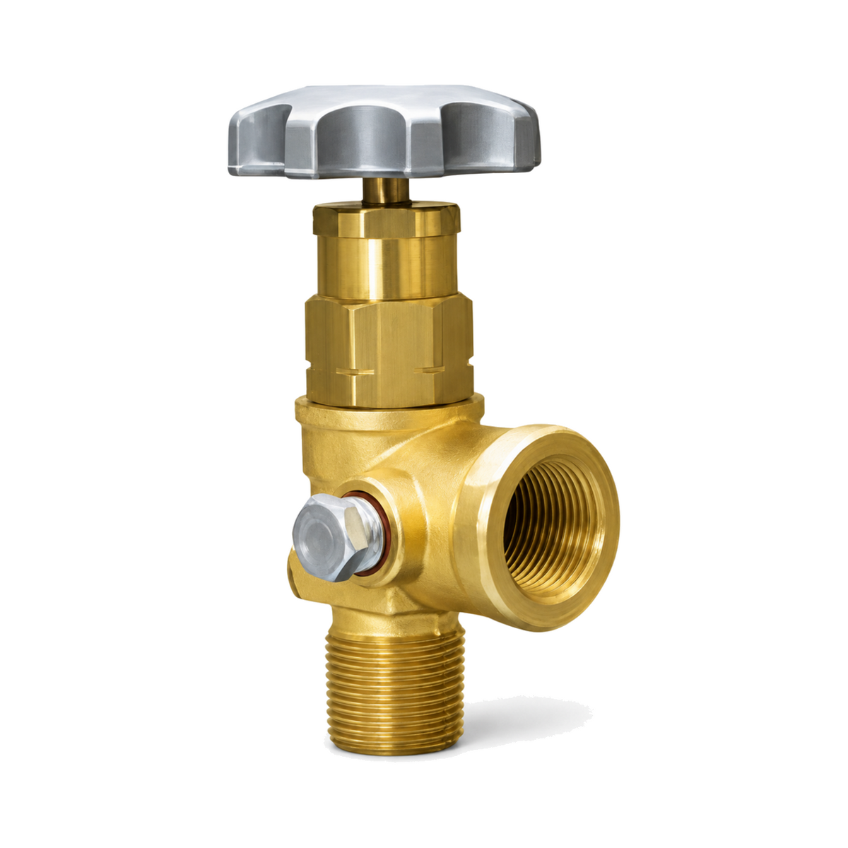 RegO 7550P Check-Lok angle valve with 3/4 inch MNPT inlet